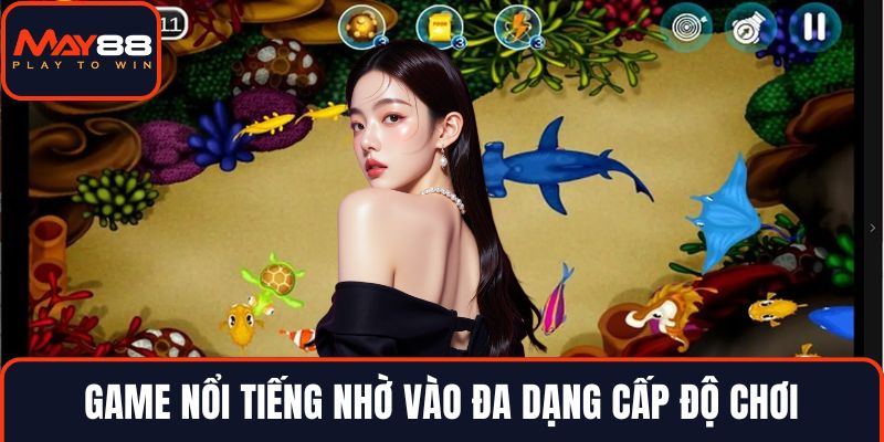 Game nổi tiếng nhờ vào đa dạng cấp độ chơi