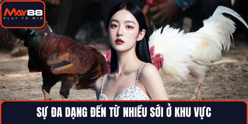Sự đa dạng đến từ nhiều sới ở khu vực