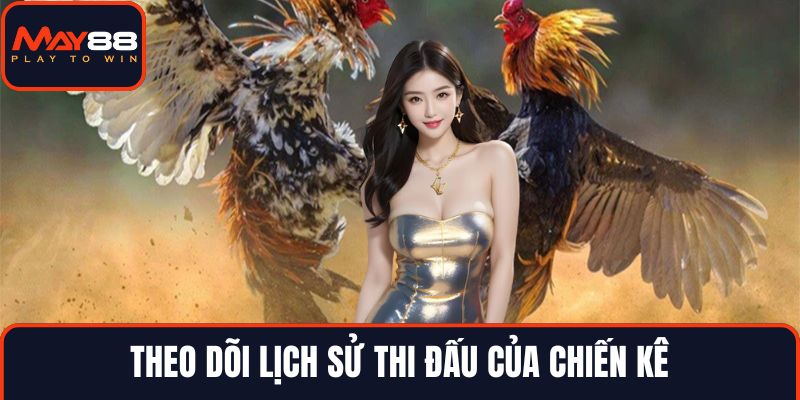 Theo dõi lịch sử thi đấu của chiến kê